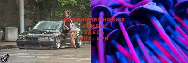 бутират Богданович