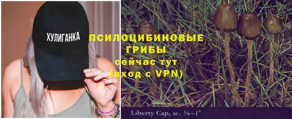 бутират Богданович